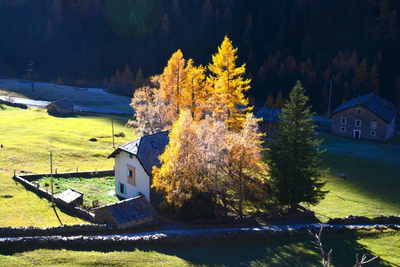 Il Cortese Chiareggio 外观 照片